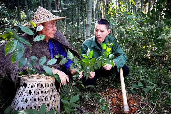 2024全年免费资料公开，痞子英雄票房破亿，影迷热议角色塑造与剧情发展。