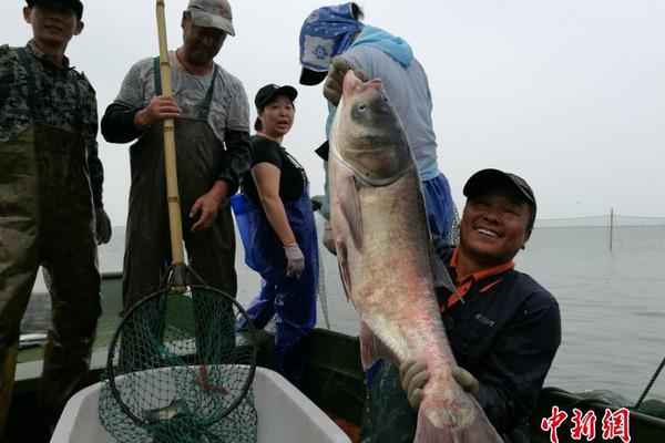 新澳内部资料精准大全|精选解释解析落实